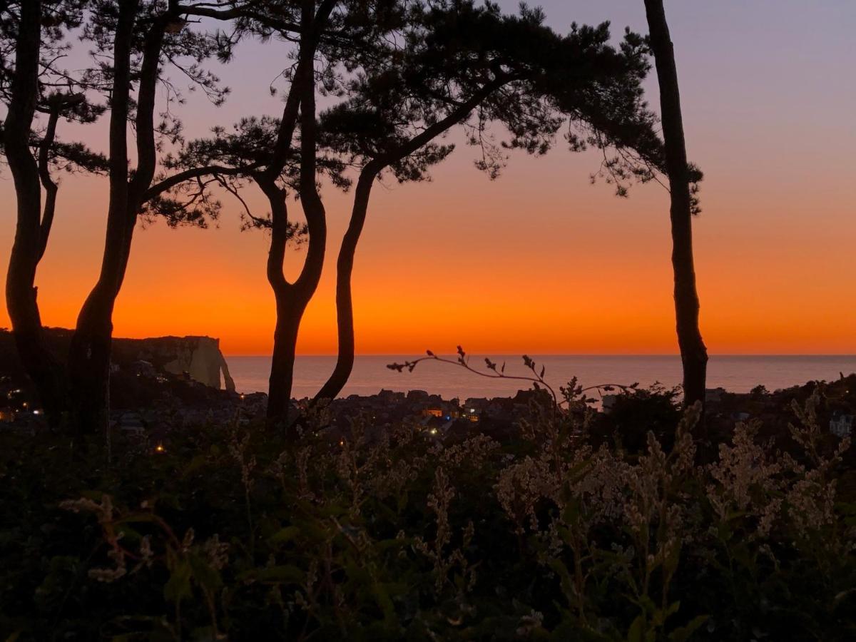 Domaine Saint Clair - Le Donjon Hotell Étretat Exteriör bild